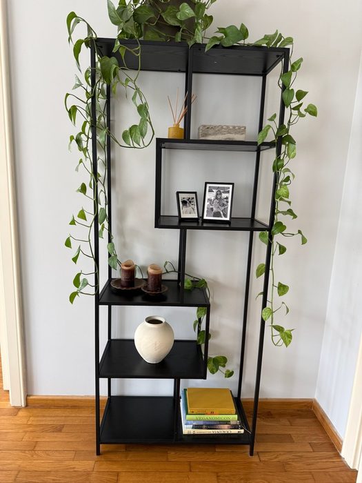 Book Shelves