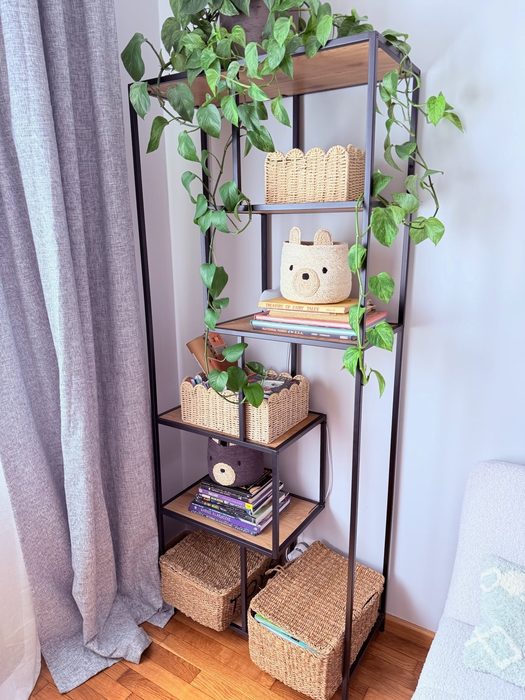 Book Shelves